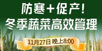 《细说农技》专家张宝林教冬季蔬菜防寒 + 促产高效管理，27 日晚 8 点！