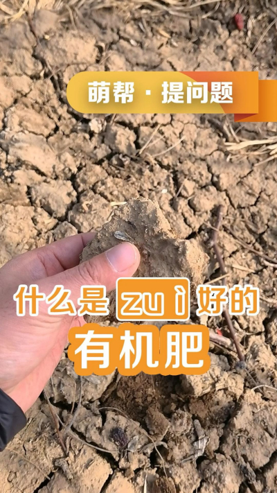 什么是最好的有机肥