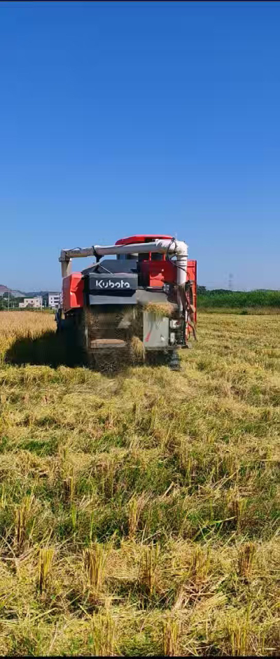 惠州基地，无人拖拉机收水稻了。