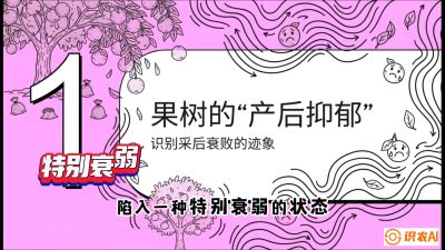 第2节：【冬肥策略】采后&ldquo;月子肥&rdquo;：大小年的精准干预术，课程：《柑橘底肥&ldquo;翻身账&rdquo;：从改土到高产的实战全书》