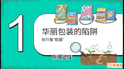 第4节：【黄金配方】底肥里的&ldquo;铁三角&rdquo;与&ldquo;微量雷区&rdquo;课程：《柑橘底肥&ldquo;翻身账&rdquo;：从改土到高产的实战全书》
