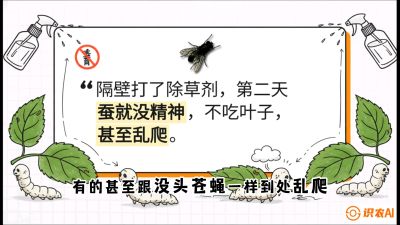 第05节：养蚕人的&ldquo;排雷战&rdquo;&mdash;&mdash;除草剂的生死禁忌，课程：《桑海淘金：桑树高产与蚕桑安全进阶实战课》