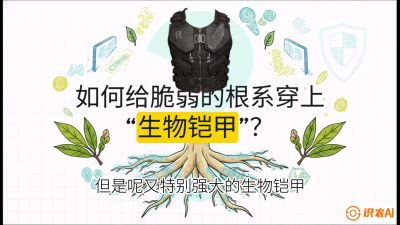 第三节：国产榴莲突围战：根系堡垒，菌根微生态构建与黄金定植窗口，课程：《国产榴莲突围战：从泰国经验到中国实操的8堂必修课（高阶实战版）》