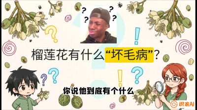 第六节：榴莲的午夜战事，夜间授粉战与花果期避雨策略，课程：《国产榴莲突围战：从泰国经验到中国实操的8堂必修课（高阶实战版）》