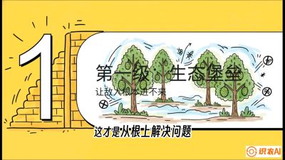 第七节：榴莲防御战：病虫害三级立体防控，疫霉菌与虫害的立体封锁线，课程：《国产榴莲突围战：从泰国经验到中国实操的8堂必修课（高阶实战版）》