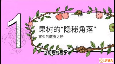 第3节：无人机专治&ldquo;打不透&rdquo;&mdash;&mdash;果树与高杆作物的穿透技巧，课程：《无人机植保搞钱必修课：从&ldquo;瞎飞&rdquo;到&ldquo;懂行&rdquo;的6步进阶》