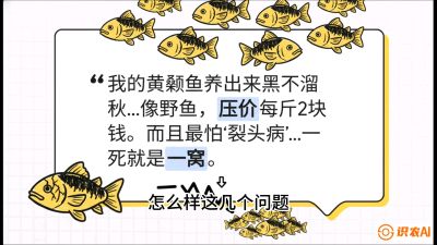 第四节：【黄金单品&middot;黄颡鱼】解决&ldquo;一点红&rdquo;与&ldquo;香蕉色&rdquo;的悖论，课程：《黄金鳞甲：2025中国淡水鱼高效养殖实战营》