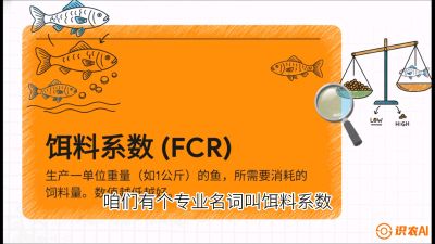 第五节：【高端单品&middot;鳜鱼】&ldquo;饲料鳜&rdquo;技术：打破吃活饵的高成本魔咒，课程：《黄金鳞甲：2025中国淡水鱼高效养殖实战营》