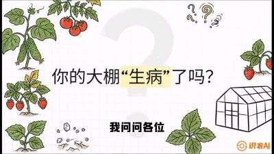 第2节（解毒篇）： 大棚里的&ldquo;红白绿&rdquo;警报&mdash;&mdash;读懂土壤盐渍化的求救信号，课程：《揭秘土壤的秘密：让土地帮你赚钱》#识农AI