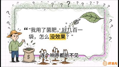 第4节（活化篇）： 土壤里的&ldquo;雇佣兵&rdquo;&mdash;&mdash;如何用菌剂以小博大，解决死棵难题，课程：《揭秘土壤的秘密：让土地帮你赚钱》#识农AI