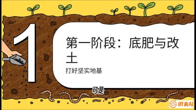 第6节（统筹篇）： 省钱又增产的&ldquo;黄金配比&rdquo;&mdash;&mdash;不同作物全年的养土实操方案，课程：《揭秘土壤的秘密：让土地帮你赚钱》#识农AI