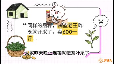 第01节（抢早篇）：与老天爷抢饭吃：如何利用&ldquo;温差阈值&rdquo;让头采茶提前5天上市？，课程：《茶金时代：从&ldquo;看天吃饭&rdquo;到&ldquo;精准控局&rdquo;的茶叶高产提质实战课》