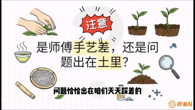 第02节（土肥篇）：告别&ldquo;苦涩水味&rdquo;：揭秘&ldquo;碳氮比&rdquo;调控术，种出自带兰花香的好茶底，课程：《茶金时代：从&ldquo;看天吃饭&rdquo;到&ldquo;精准控局&rdquo;的茶叶高产提质实战课》