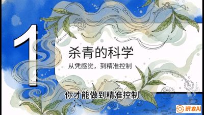第05节（加工篇）：决胜2分钟：用&ldquo;数字温控&rdquo;破解杀青不匀，复刻大师级手工口感，课程：《茶金时代：从&ldquo;看天吃饭&rdquo;到&ldquo;精准控局&rdquo;的茶叶高产提质实战课》