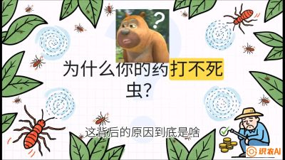 第4节：【虫害歼灭战】打不死的蓟马、隐形的茶黄螨：抗性时代的&ldquo;混配绝杀&rdquo;，课程：《辣椒种植实战特训营，从工业辣椒到精品小米辣，教你如何把&ldquo;草&rdquo;种成&ldquo;金&rdquo;》