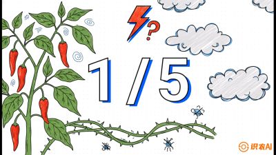 第6节：【花果爆发术】落花落果的五大元凶，与&ldquo;三喷一保&rdquo;坐果黑科技，课程：《辣椒种植实战特训营，从工业辣椒到精品小米辣，教你如何把&ldquo;草&rdquo;种成&ldquo;金&rdquo;》