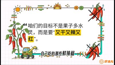 第7节：【工业辣椒专场】追求极致辣度！干物质提升与机械化采收的&ldquo;催红秘籍&rdquo;，课程：《辣椒种植实战特训营，从工业辣椒到精品小米辣，教你如何把&ldquo;草&rdquo;种成&ldquo;金&rdquo;》