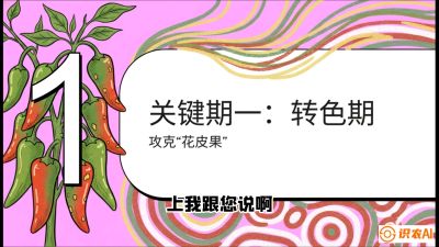 第8节：【小米辣线椒专场】颜值即正义！防花皮、防炭疽，打造收购商抢着要的&ldquo;精品果&rdquo;，课程：《辣椒种植实战特训营，从工业辣椒到精品小米辣，教你如何把&ldquo;草&rdquo;种成&ldquo;金&rdquo;》