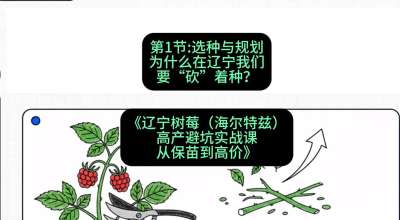 第一节： 选种与规划&mdash;&mdash;为什么在辽宁我们要&ldquo;砍&rdquo;着种？，课程：《辽宁树莓（海尔特兹）高产避坑实战课：从保苗到高价》