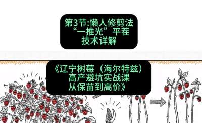 第三节： 懒人修剪法&mdash;&mdash;&ldquo;一推光&rdquo;平茬技术详解，课程：《辽宁树莓（海尔特兹）高产避坑实战课：从保苗到高价》