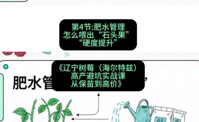 第四节： 肥水管理&mdash;&mdash;怎么喂出&ldquo;石头果&rdquo;（硬度提升），课程：《辽宁树莓（海尔特兹）高产避坑实战课：从保苗到高价》