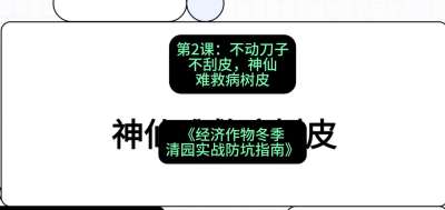 第2节：【物理手段】不动刀子不刮皮，神仙难救病树皮，课程：《经济作物冬季清园&middot;实战防坑指南》#识农AI