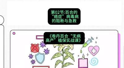 第02节：百合的&ldquo;癌症&rdquo;&mdash;&mdash;病毒病的阻断与急救，课程：《卷丹百合&ldquo;无病高产&rdquo;植保实战课》#识农AI