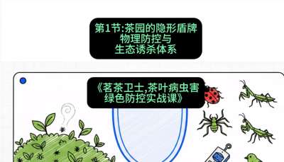 第01节：茶园的&ldquo;隐形盾牌&rdquo;&mdash;&mdash;物理防控与生态诱杀体系，课程：《茗茶卫士&mdash;&mdash;茶叶病虫害绿色防控实战课》#识农AI