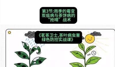 第03节：雨季的霉变&mdash;&mdash;炭疽病与茶饼病的&ldquo;抢晴&rdquo;战术，课程：《茗茶卫士&mdash;&mdash;茶叶病虫害绿色防控实战课》#识农AI