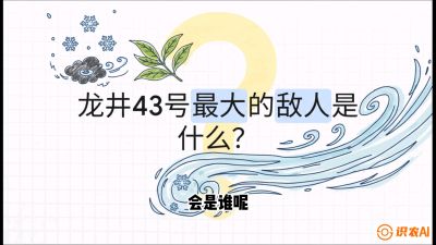 第04节：龙井双璧&mdash;&mdash;龙井43与群体种的差异化护养（重点），课程：《茗茶卫士&mdash;&mdash;茶叶病虫害绿色防控实战课》#识农AI