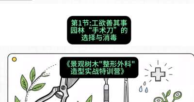 第01节：工欲善其事&mdash;&mdash;园林&ldquo;手术刀&rdquo;的选择与消毒，课程：《景观树木&ldquo;整形外科&rdquo;造型实战特训营》#识农AI
