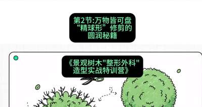 第02节：万物皆可盘&mdash;&mdash;&ldquo;精球形&rdquo;修剪的圆润秘籍，课程：《景观树木&ldquo;整形外科&rdquo;造型实战特训营》#识农AI