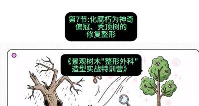 第07节：化腐朽为神奇&mdash;&mdash;偏冠、秃顶树的修复整形，课程：《景观树木&ldquo;整形外科&rdquo;造型实战特训营》#识农AI