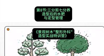 第08节：三分剪七分养&mdash;&mdash;造型后的水肥与定型管理，课程：《景观树木&ldquo;整形外科&rdquo;造型实战特训营》#识农AI