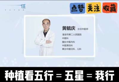 中药材淫羊藿怎么种？听专家一次讲明白！不挑地块好管理，耐寒耐旱省心省力，新手也能轻松上手，药用价值高、市场需求稳，妥妥的增收好品种～ 从生长习性到采收要点，干货满满无废话，种植疑问直接问，一对一答疑解