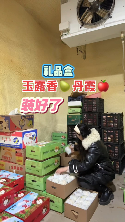 玉露香梨，丹霞苹果礼品盒