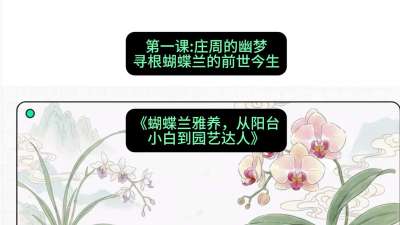 第一节：庄周的幽梦：寻根蝴蝶兰的前世今生，课程：《蝴蝶兰雅养六讲：从阳台小白到园艺达人》#识农AI