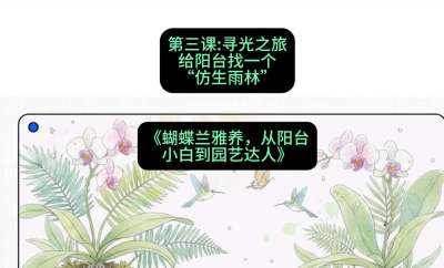 第三节：寻光之旅：给阳台找一个&ldquo;仿生雨林&rdquo;，课程：《蝴蝶兰雅养六讲：从阳台小白到园艺达人》#识农AI