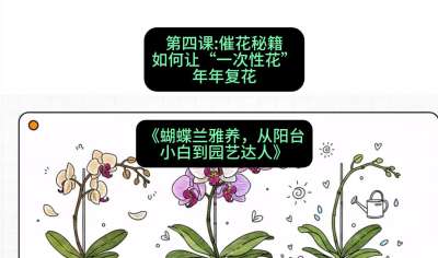 第四节：催花秘籍：如何让&ldquo;一次性花&rdquo;年年复花，课程：《蝴蝶兰雅养六讲：从阳台小白到园艺达人》#识农AI