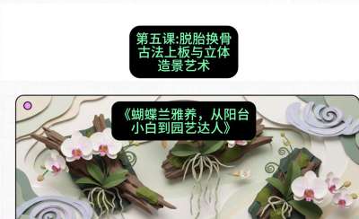 第五节：脱胎换骨：古法上板与立体造景艺术，课程：《蝴蝶兰雅养六讲：从阳台小白到园艺达人》#识农AI