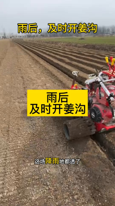 雨后，及时开姜沟！