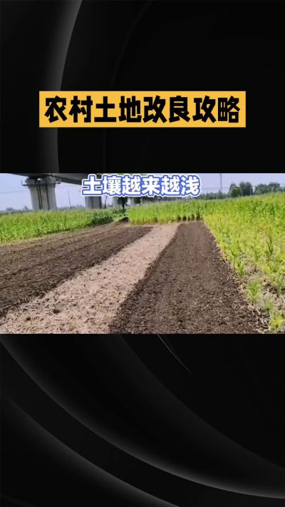 1. 先搞懂：你到底要改良哪块地、种什么
 
- 土土土在哪里？
就是你自家农田、菜地、果园，哪块地想种庄稼，就测哪块地的土。
​
- 有水没有水？
有水能浇：改良更省事，施肥、调酸碱都好操作。
没水