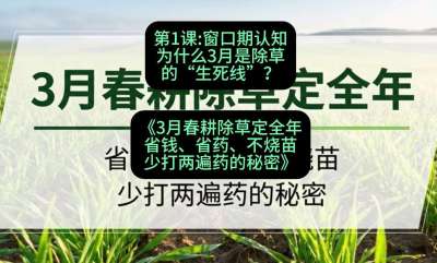 第1节：窗口期认知，为什么3月是除草的&ldquo;生死线&rdquo;？，课程：《3月春耕除草定全年：省钱、省药、不烧苗、少打两遍药的秘密》