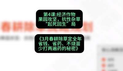 第4节：经济作物果园攻坚，抗性杂草&ldquo;起死回生&rdquo;局，课程：《3月春耕除草定全年：省钱、省药、不烧苗、少打两遍药的秘密》